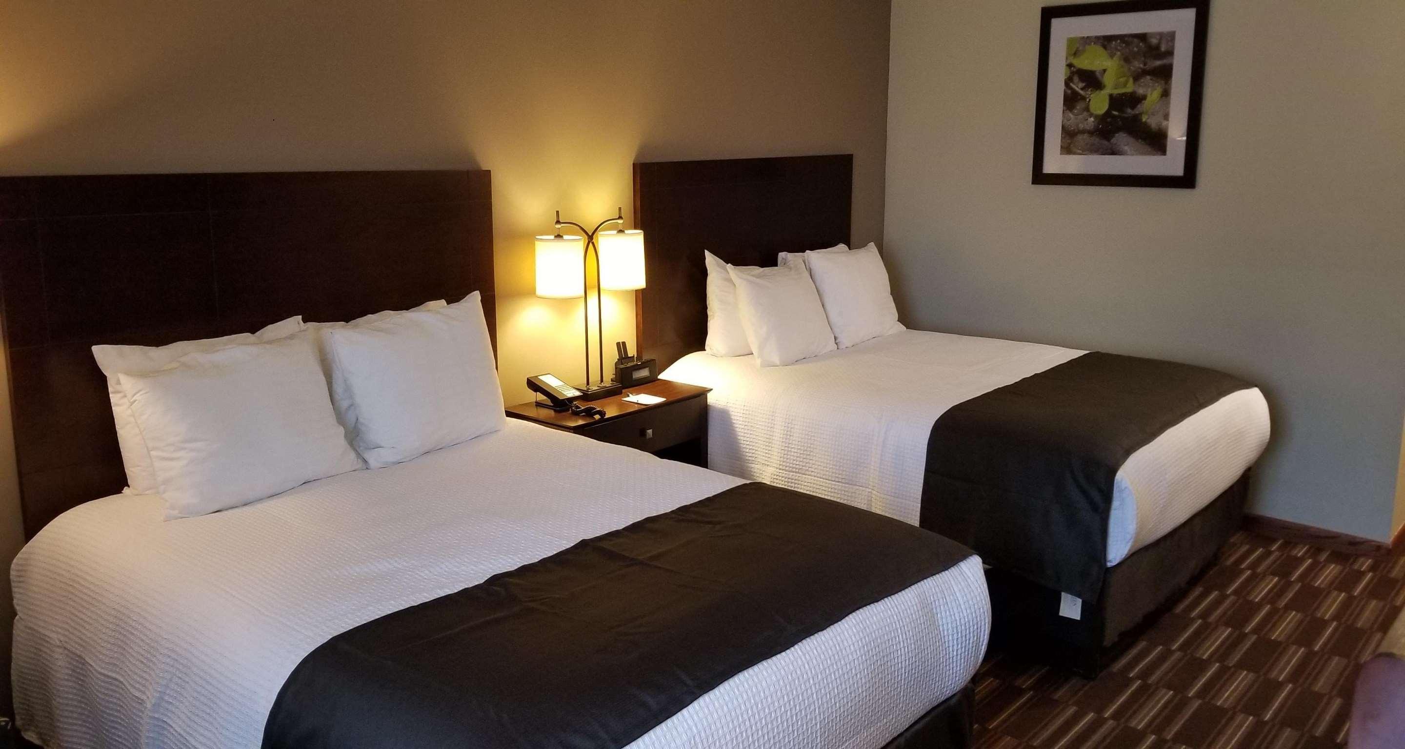 Best Western University Inn Urbana Eksteriør billede